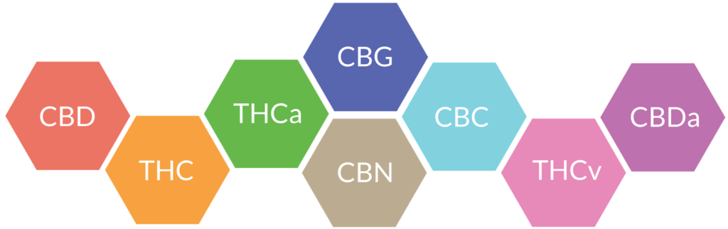 CBG Flower CBD