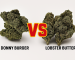 Donny Burger vs. Lobster Butter: The Ultimate Flower Face-Off